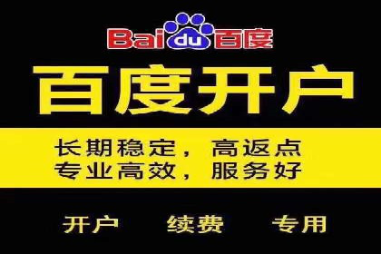百度推广平台实战案例：助力企业快速崛起